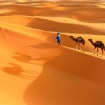 Trip Of Your Dreams In 3 Days And 2 Nights In The Desert Itinerary Overview