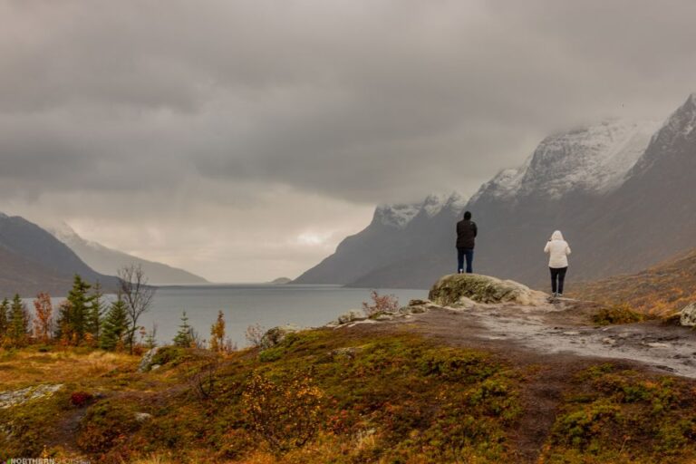 Tromsø: Fjord Photo Tour By Minibus Tour Details