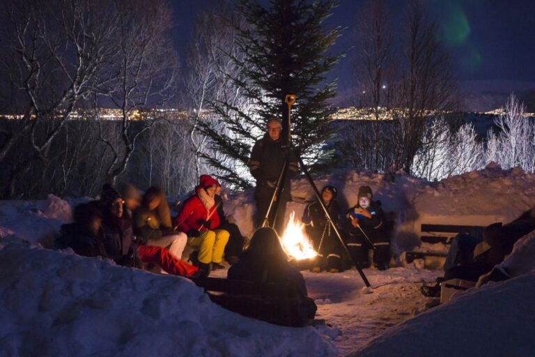 Tromsø: Northern Lights Husky Visit With Traditional Dinner Activity Details