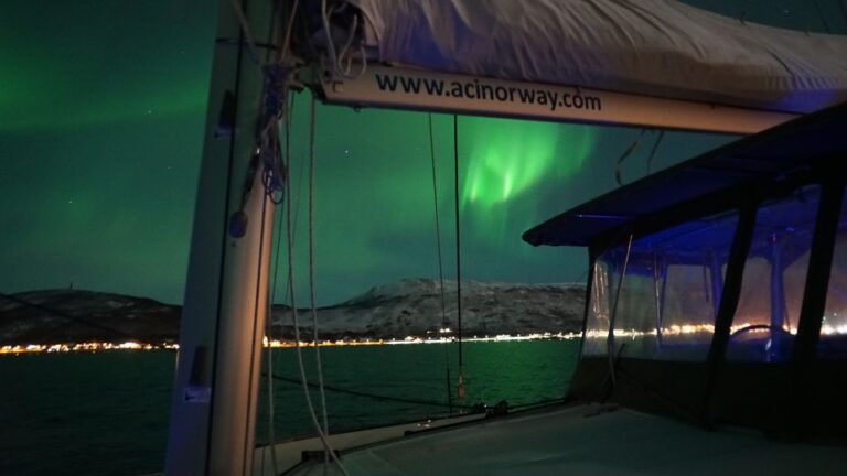 Tromsø: Northern Lights Luxury Catamaran Cruise Tour Description