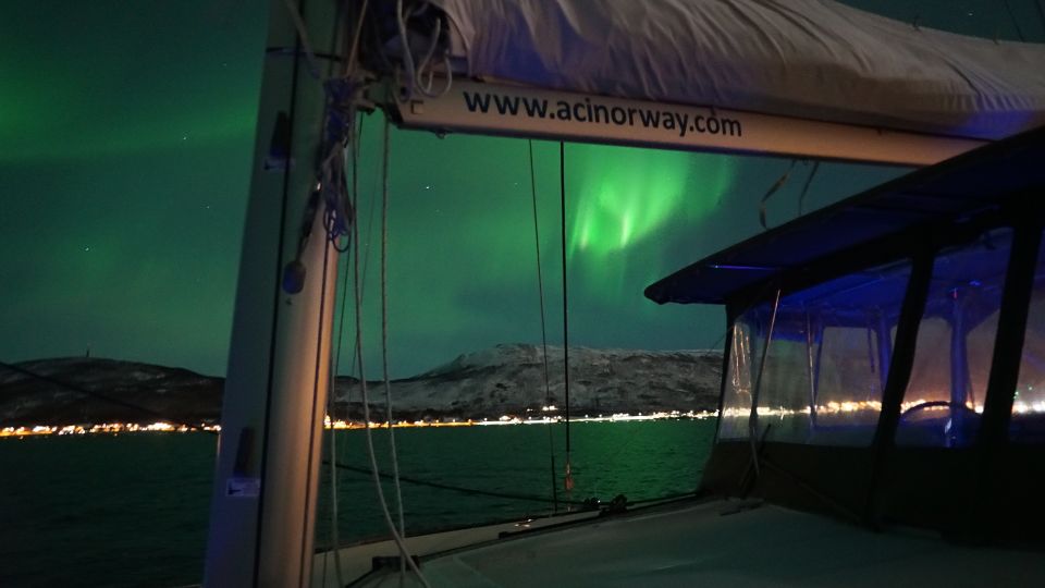 Tromsø: Northern Lights Luxury Catamaran Cruise - Tour Description