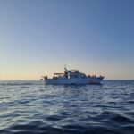 Umag: Sunset Cruise With Dolphin Spotting Activity Overview