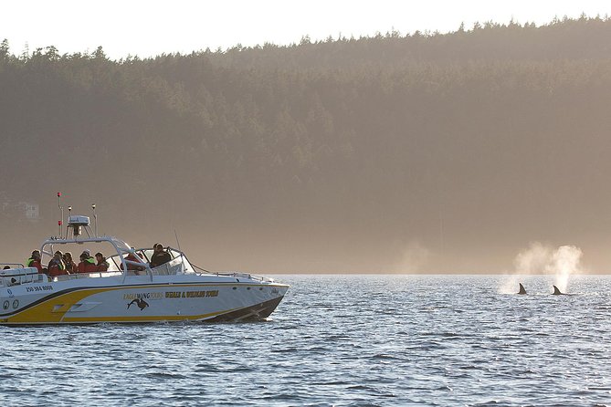 Victoria Whale and Wildlife Cruise - Whats Included