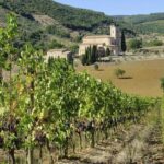 Visit To The Cellar With Wine & Food Tasting Over The Val Dorcia Tour Details