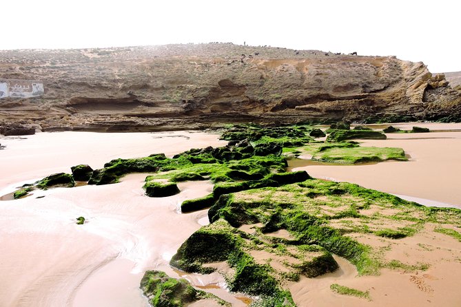 Walk Between Argan Forest, Ocean & Waterfalls. - Overview of the Tour