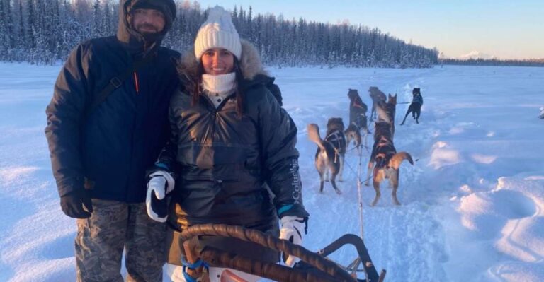 Willow: Traditional Alaskan Dog Sledding Ride Pricing And Booking Details