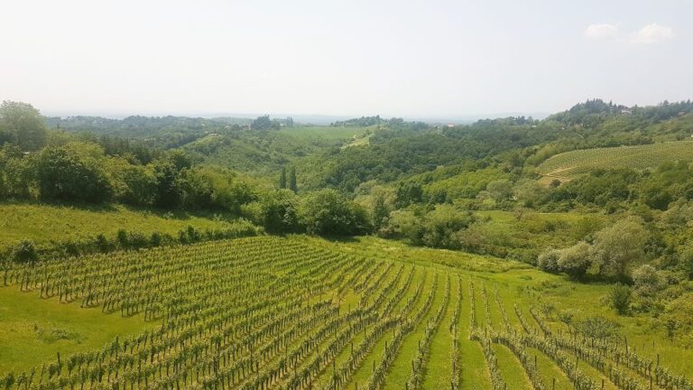 Wine & Food Tour Of Plešivica Near Zagreb Tour Overview