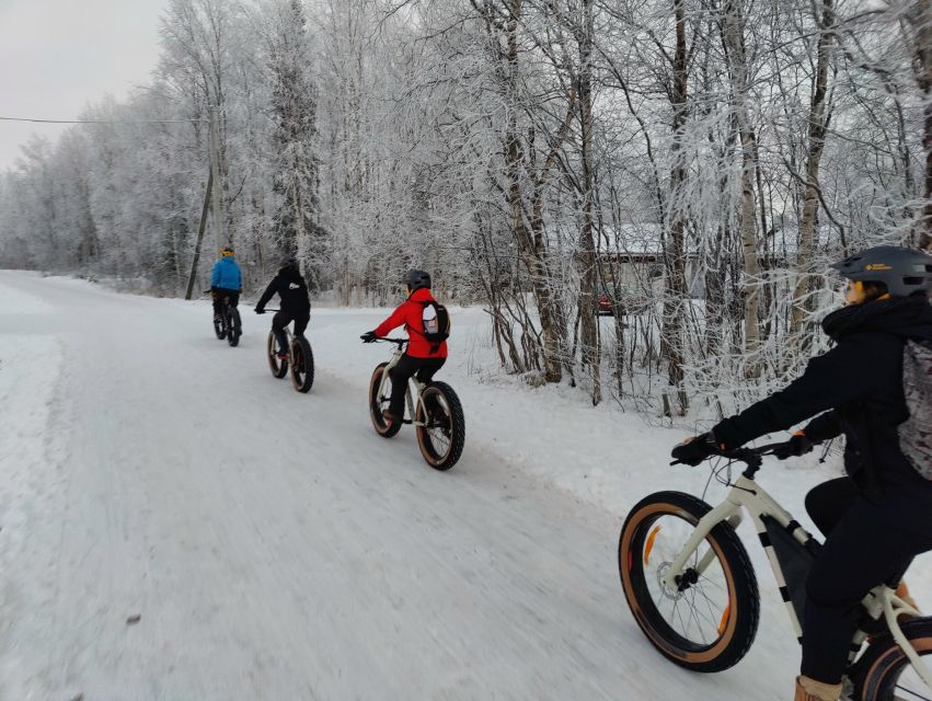 Winter Fatbiking in Ivalo - Tour Details