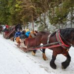 Zakopane: Sleigh Ride With Transfers And Lunch Option Tour Overview