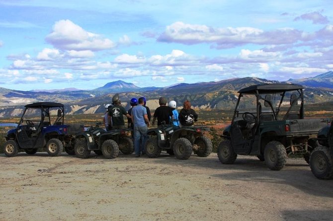 2.5-Hour Denali Wilderness ATV Adventure Tour - Key Points