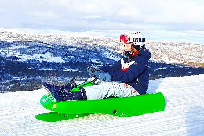 2-Hour Racing Toboggan at Dagali Fjellpark Near Geilo in Norway - Key Points