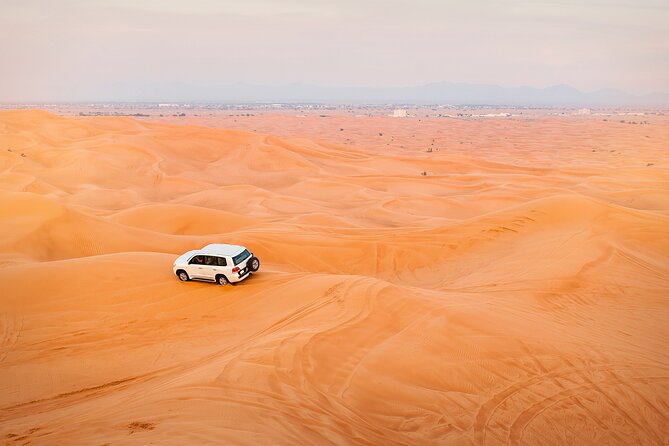 2 Seater Dune Buggy Safari in Sharjah - Inclusions and Exclusions