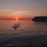 Dubrovnik: Sunset Cruise Booking Information