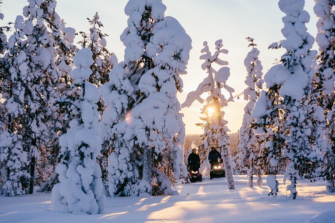 1-Hour Snowmobile Safari Experience - Inclusions