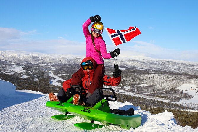 2-Hour Racing Toboggan at Dagali Fjellpark Near Geilo in Norway - Safety and Accessibility Requirements