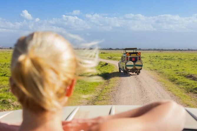 3 Day Classic, Guided Serengeti Safari - Excluded Expenses