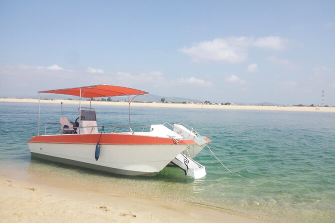 3 Hour Boat Tour in Ria Formosa - Tour Schedule