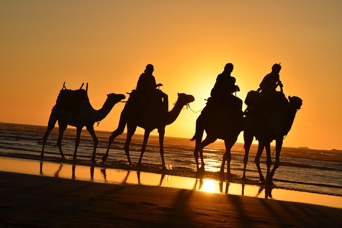 3 Hours Ride on Camel at Sunset - Inclusions