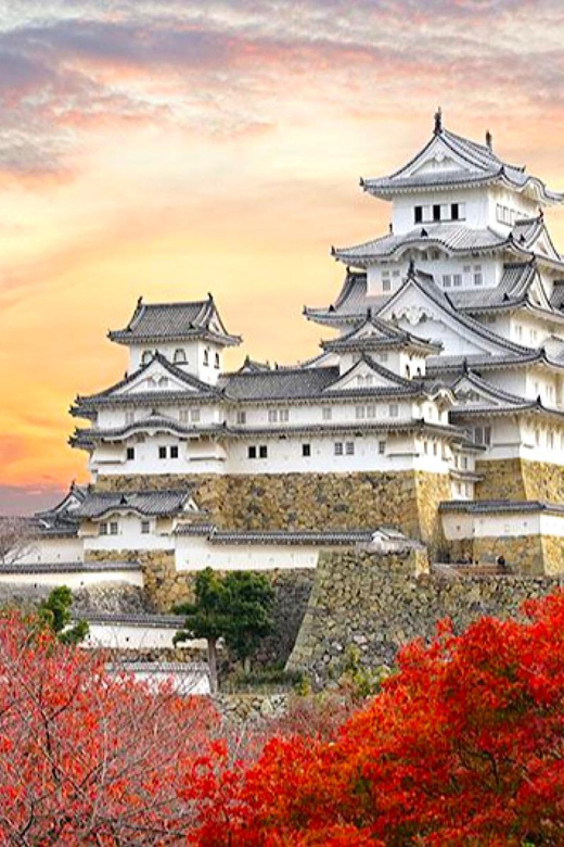 4-Day Private Kyoto Osaka Nara Sightseeing Tour With Guide - Itinerary Highlights