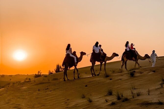 4 Hrs Safari Dune Bashing, Camel Ride,Inland Sea, Pickup Service. - Camel Ride Experience