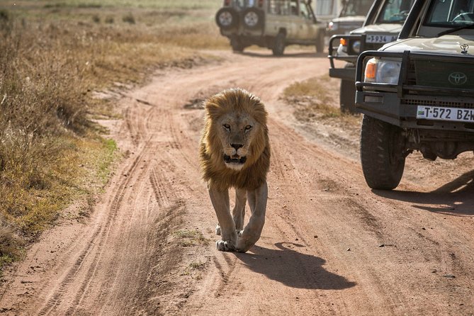 6 Days Private Budget Safari - Tarangire National Park