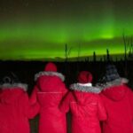 Anchorage: Nighttime Northern Lights Tour Highlights Of The Experience