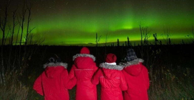 Anchorage: Nighttime Northern Lights Tour Highlights Of The Experience