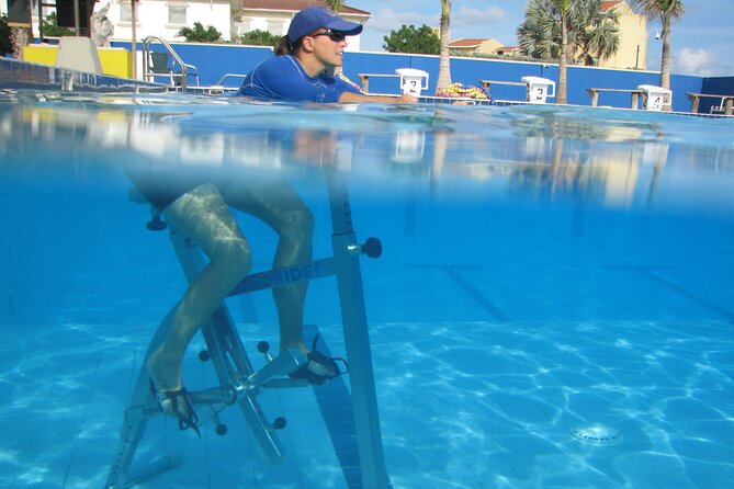 Aqua Power With Bikes in Aruba - Personalized Attention and Small Groups