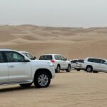 Arabian Desert Safari Abu Dhabi: 6hour Tour With Bbq & Live Shows Tour Overview