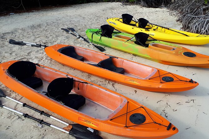 Aruba Glass Bottom Kayak Tour Through the Mangrove Forest - Inclusions and Exclusions