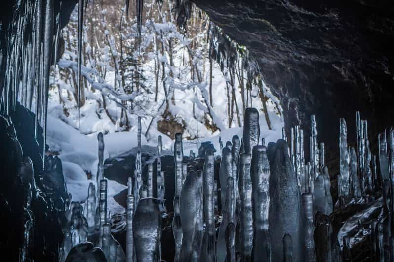 Bamboo Ice Cave Snowshoe Tour Review - Snowshoeing Through Scenic Forests