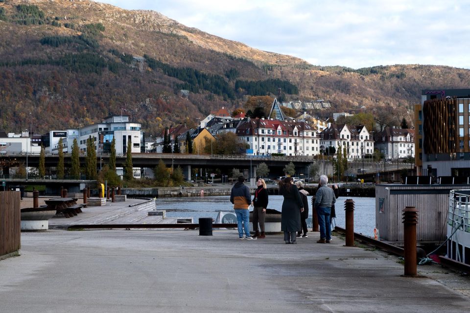 Bergen: Guided Minibus Tour With Photo Stops & Bryggen Tour - Highlights of the Tour