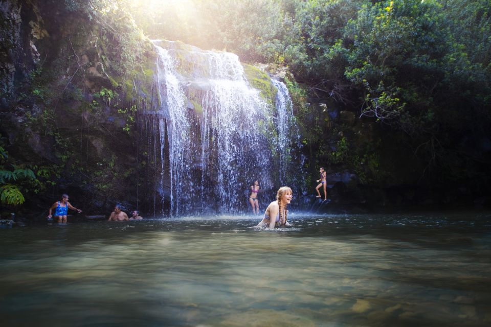 Big Island: Full Day Adventure Tour of the Kohala Waterfalls - Duration and Group Size