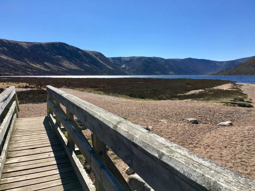 Cairngorms: Lochnagar Guided Walk - Details of Lochnagar Mountain