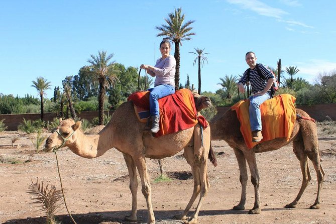 Camel Trekking Through Marrakeshs Palm Grove - Meeting and Pickup Details