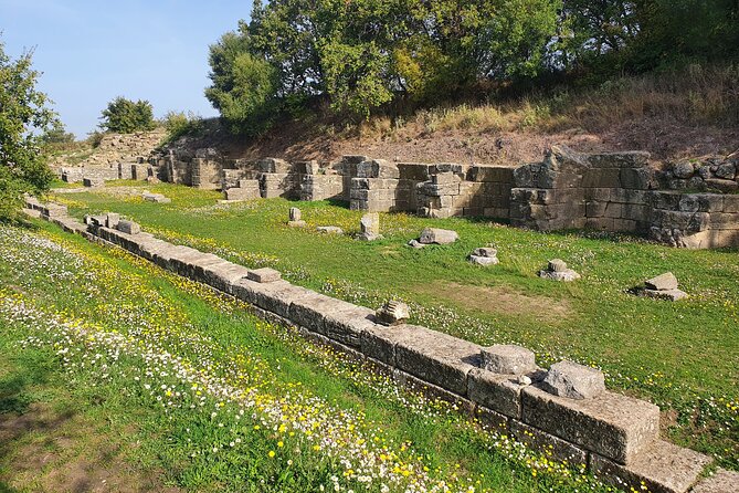 Day Tour of Apollonia Park, Vlore and Narta From Tirana&Durres - Pickup and Meeting