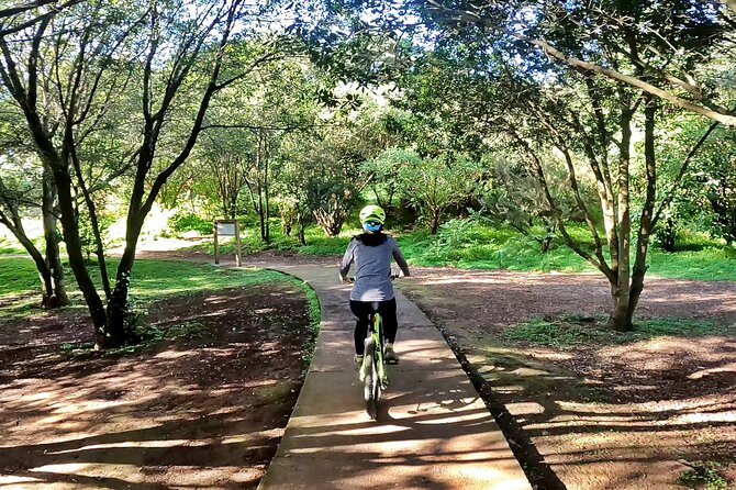 Descend in Mountain Bike in Northern Forests of Gran Canaria - Meeting and End Points