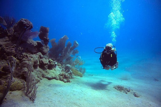 Discover Scuba Diving - Logistics