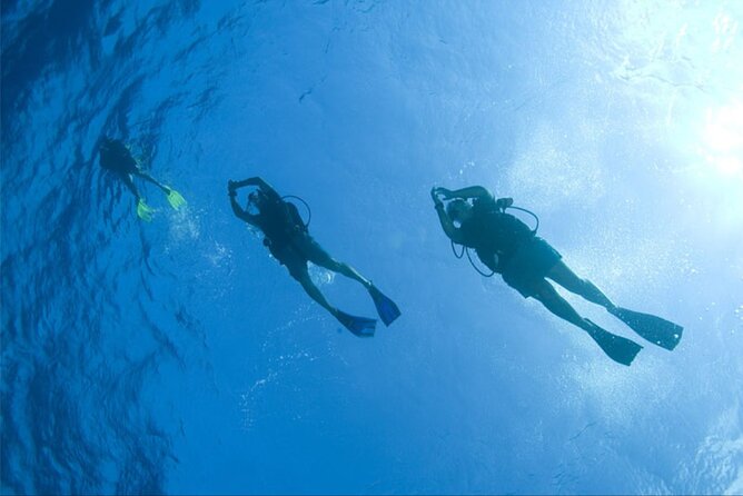 Diving:First Dream to Dive Tour&Snorkeling With Lunch in Redsea - Getting to the Tour