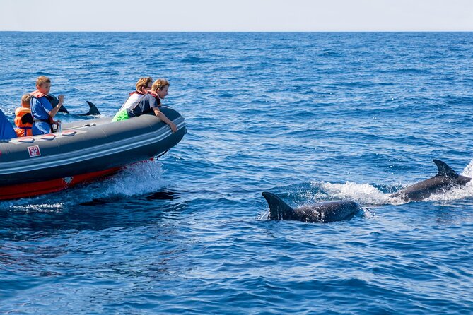 Dolphins & Caves on Rib Boat - Coastal Exploration and Wildlife