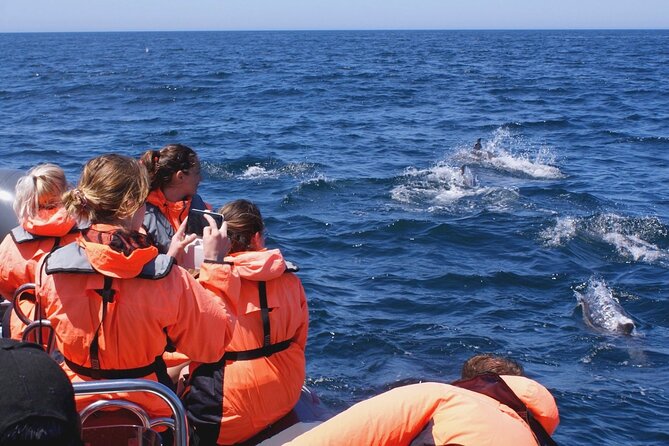 Dolphins Watching - Meeting Point Location