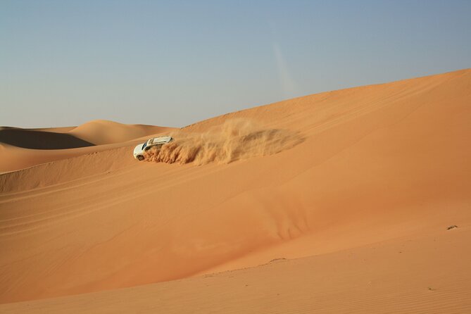 Dubai Red Dunes Desert Morning Adventure - Included Activities