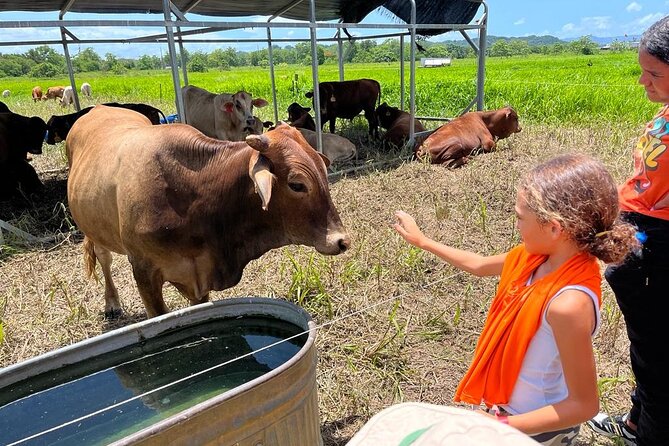 Eco Friendly Farming Tour to Explore Dorados Most Beautiful Farm - Accessibility and Booking Details