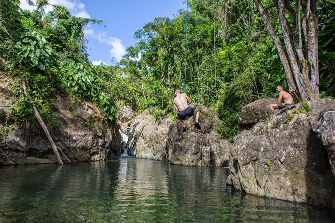 El Yunque Rainforest and Bio Bay Kayaking Combo Tour - Hiking in the Rainforest