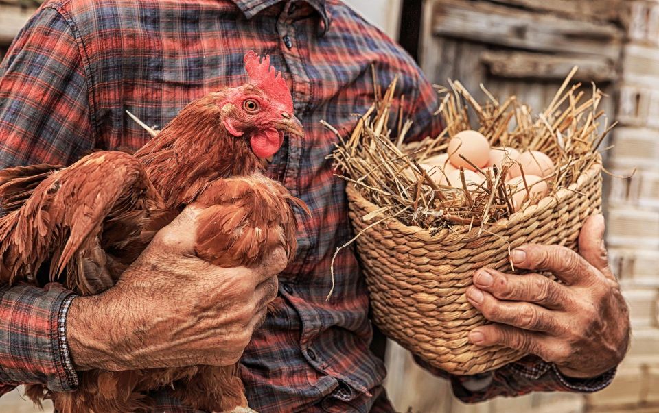 Enjoy Lunch With Pure Products From the Corfu Farm - Booking and Cancellation