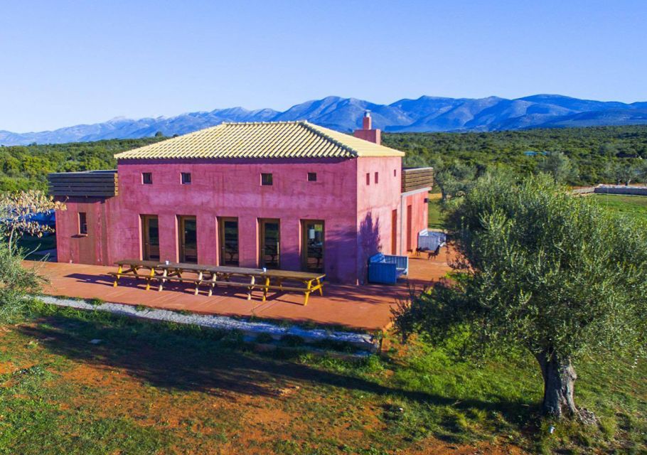 Farm-table Cooking Class in an Organic Farm, Laconia, Greece - Experience Highlights