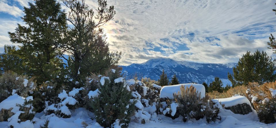 From Gardiner: Yellowstone National Park Snowshoe Tour - Highlights of the Adventure