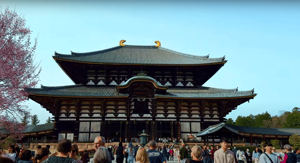 From Kyoto/Osaka: Nara Sightseeing Private Day Tour - Kasuga Taisha Shrine