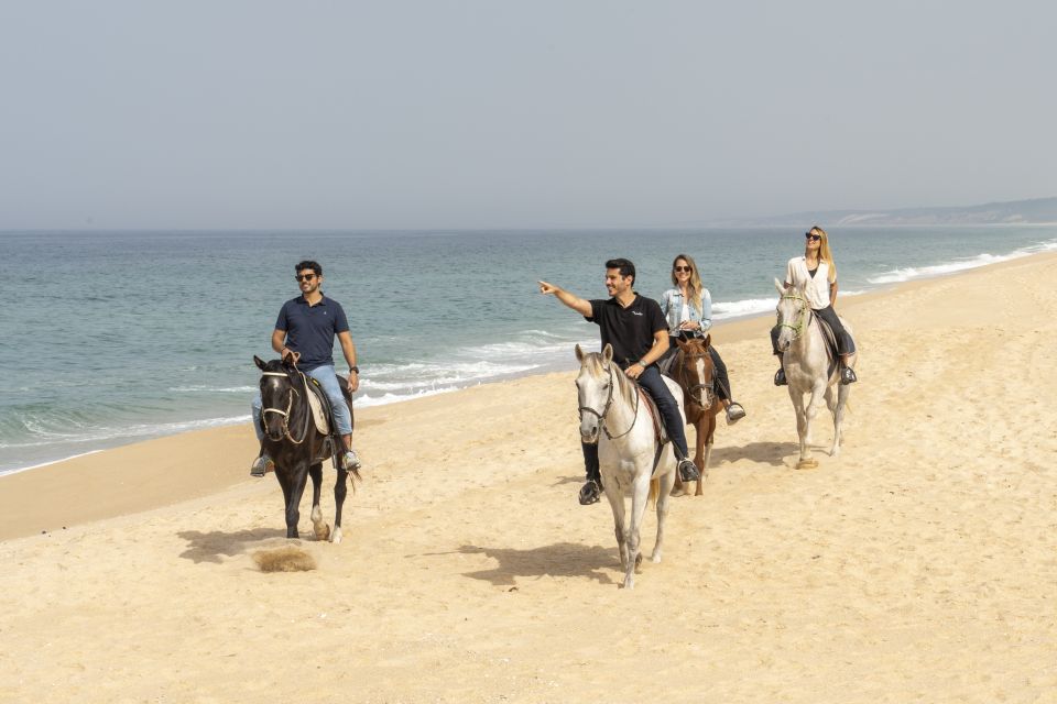 From Lisbon: Comporta and Setúbal Trip With Horseback Riding - Group Size and Languages