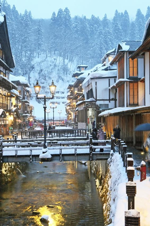 From Tokyo: Ginzan Onsen, Zao Snow Monsters 2-Day Tour - Meeting Points